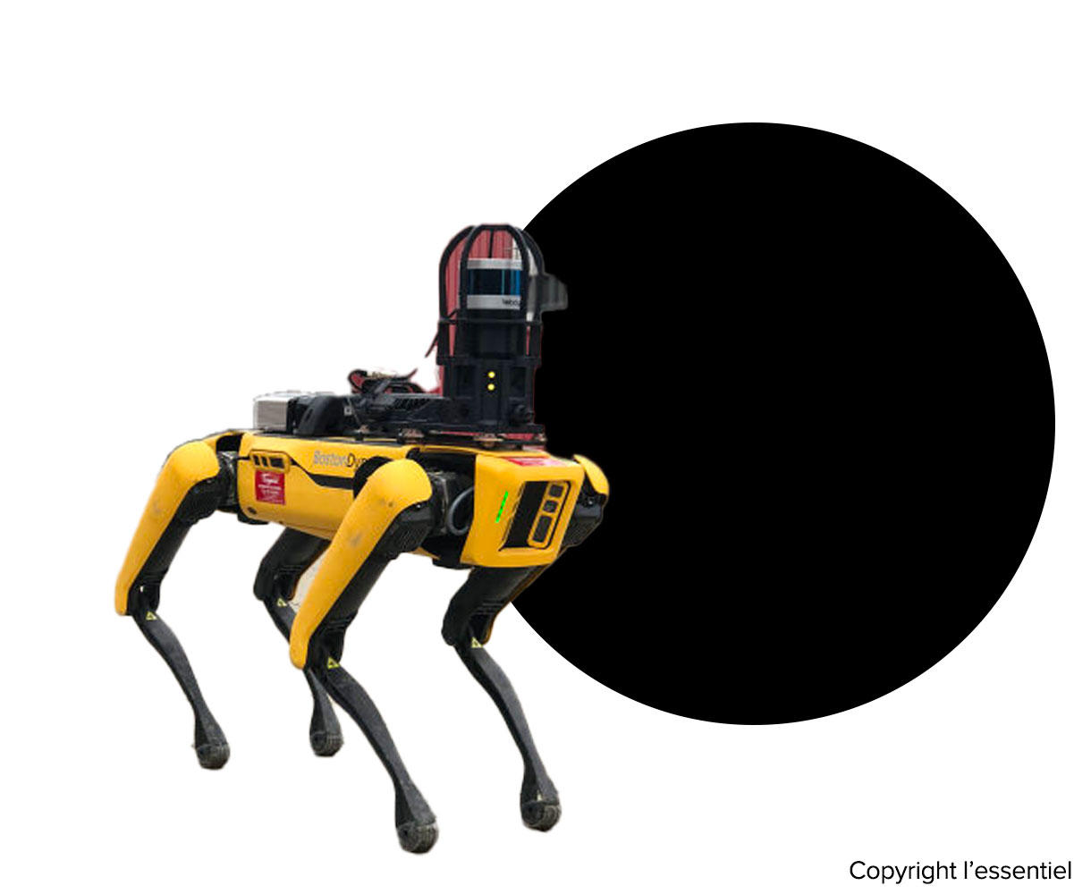 Après le Covid, les chiens-robots de Black Mirror !